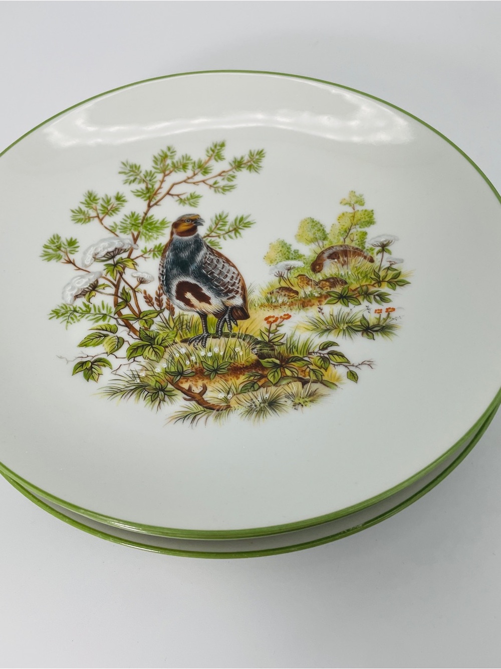 Bareuther Waldsassen Bavaria Germany Woodland Wildlife Salad Plates Set of 4 - Picture 6 of 10